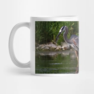 Great Blue Heron catches fish Mug